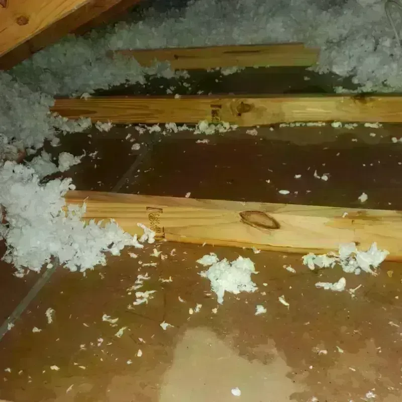 Attic Water Damage in Manistee, MI