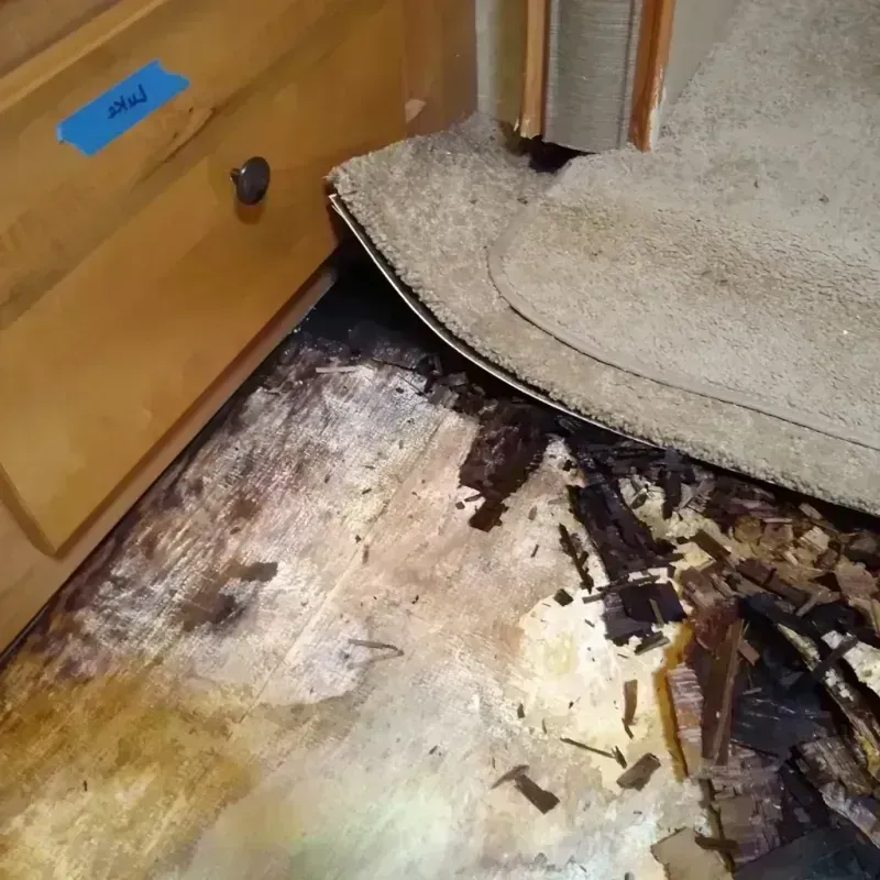 Wood Floor Water Damage in Manistee, MI